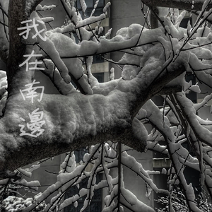 实拍拥挤顶臀视频
