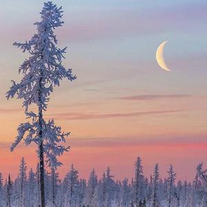 实拍拥挤顶臀视频
